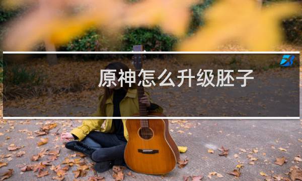 原神怎么升级胚子