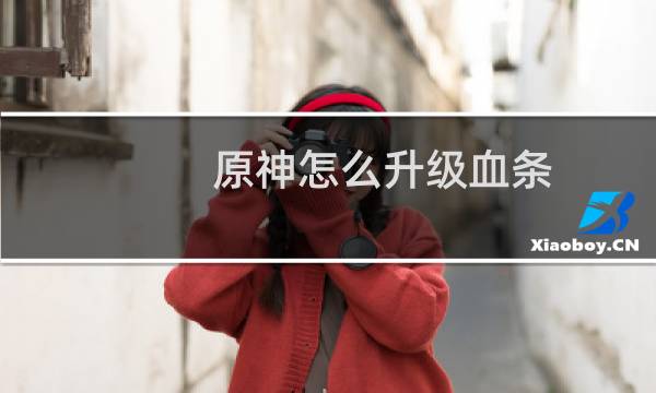 原神怎么升级血条