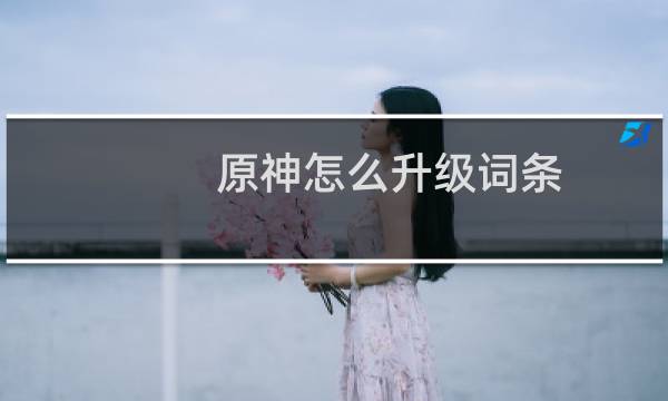 原神怎么升级词条