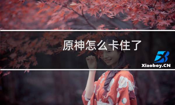 原神怎么卡住了
