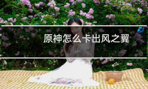 原神怎么卡出风之翼