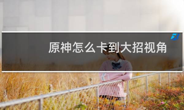 原神怎么卡到大招视角