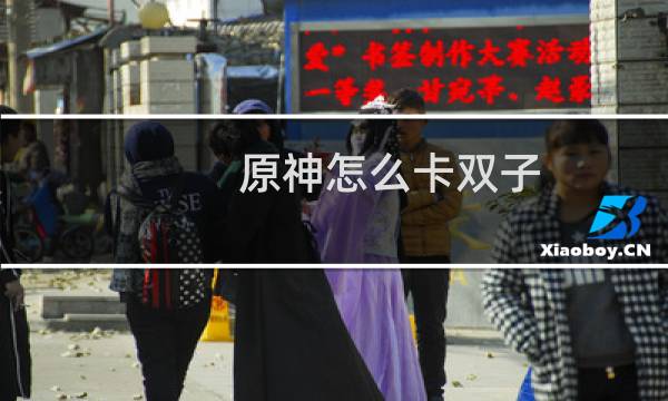 原神怎么卡双子