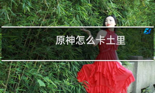 原神怎么卡土里
