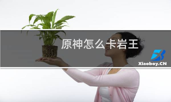 原神怎么卡岩王
