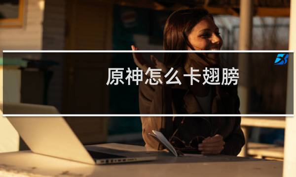 原神怎么卡翅膀