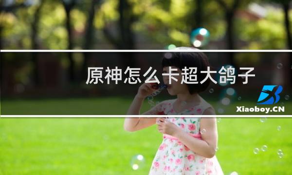 原神怎么卡超大鸽子