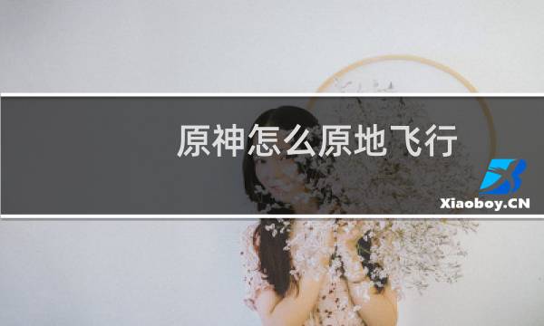 原神怎么原地飞行