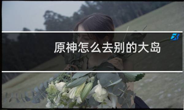 原神怎么去别的大岛