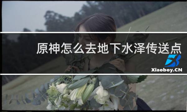原神怎么去地下水泽传送点