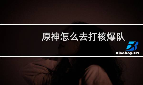 原神怎么去打核爆队