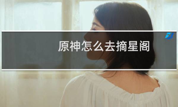 原神怎么去摘星阁