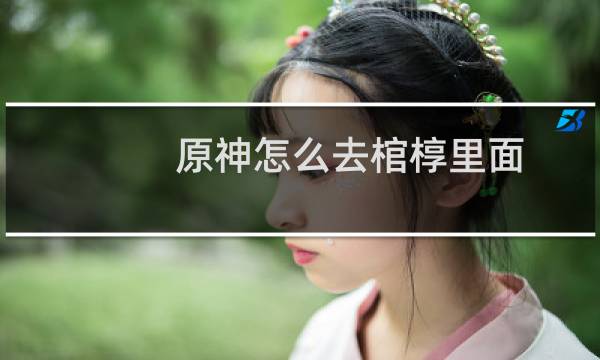 原神怎么去棺椁里面