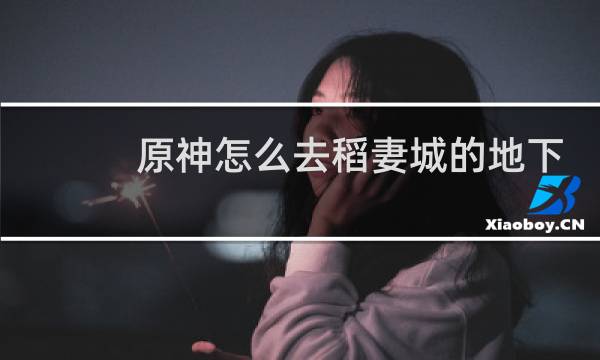 原神怎么去稻妻城的地下