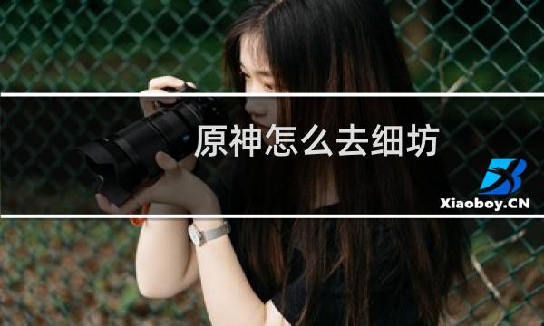 原神怎么去细坊