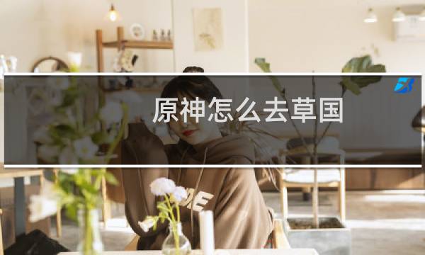 原神怎么去草国