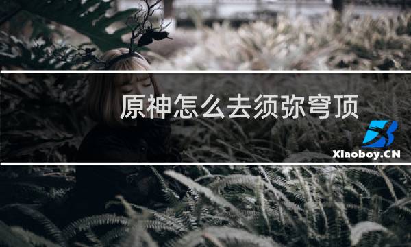 原神怎么去须弥穹顶