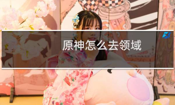 原神怎么去领域