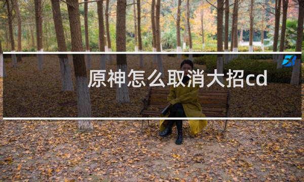 原神怎么取消大招cd