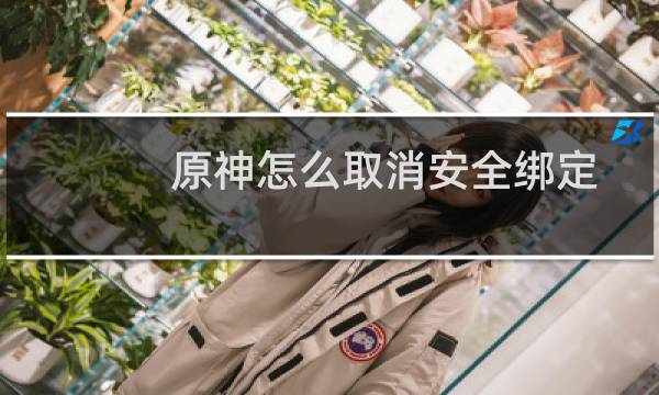 原神怎么取消安全绑定