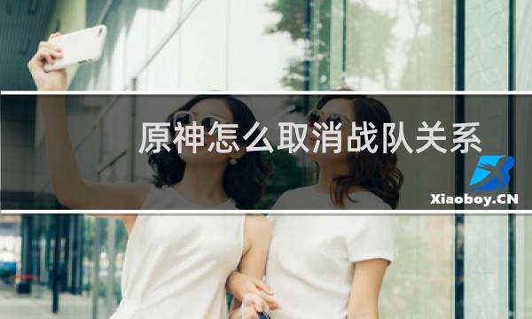 原神怎么取消战队关系