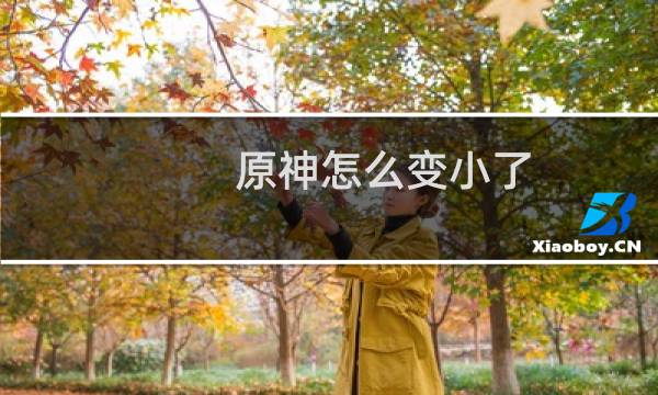 原神怎么变小了