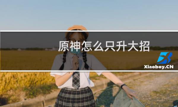 原神怎么只升大招