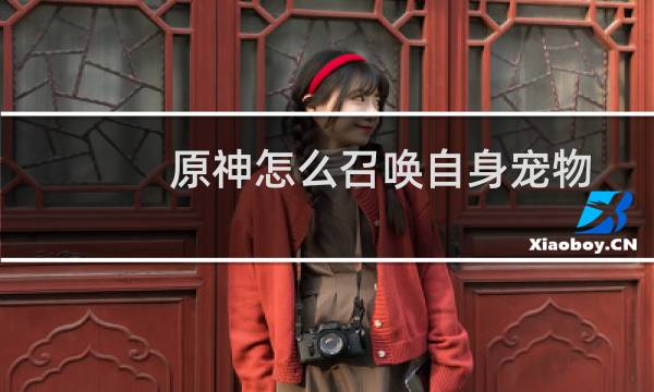 原神怎么召唤自身宠物