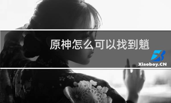 原神怎么可以找到魈