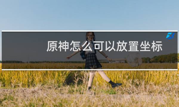 原神怎么可以放置坐标