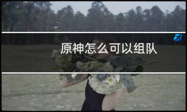 原神怎么可以组队