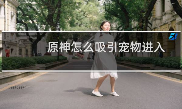 原神怎么吸引宠物进入