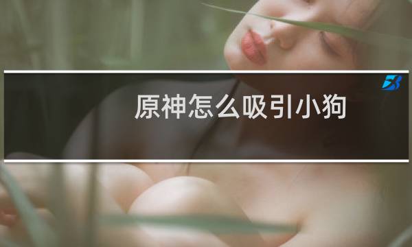 原神怎么吸引小狗