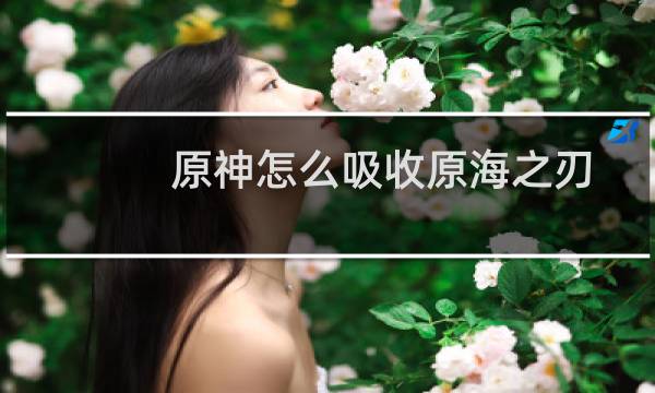原神怎么吸收原海之刃