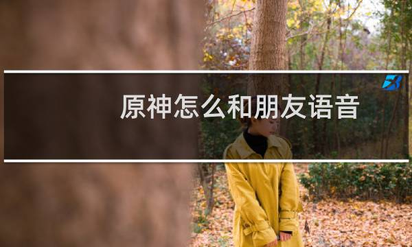 原神怎么和朋友语音