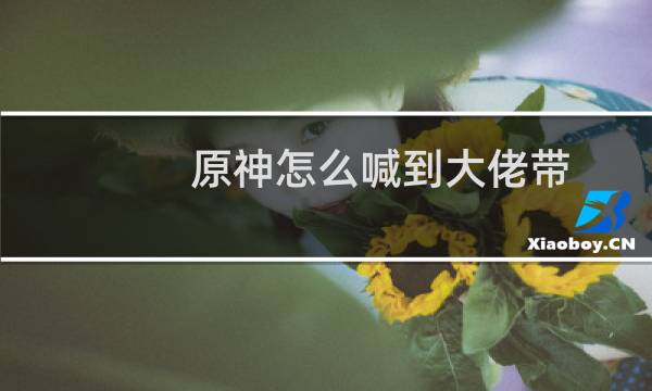 原神怎么喊到大佬带