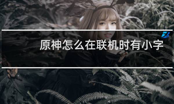 原神怎么在联机时有小字