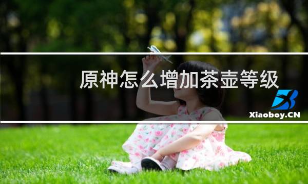 原神怎么增加茶壶等级