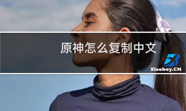 原神怎么复制中文