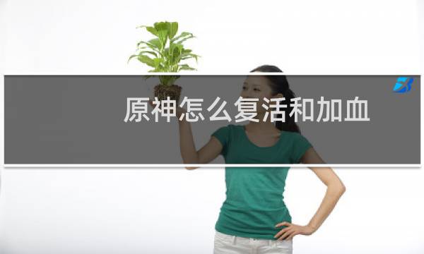 原神怎么复活和加血