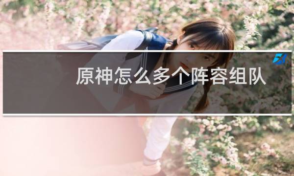 原神怎么多个阵容组队