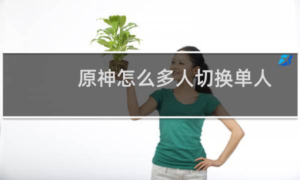 原神怎么多人切换单人