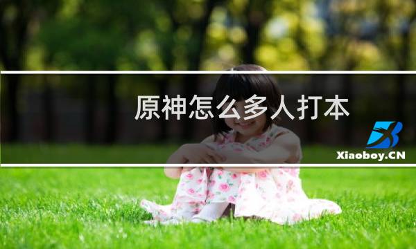 原神怎么多人打本