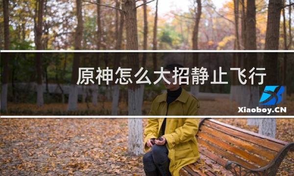 原神怎么大招静止飞行