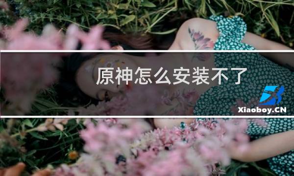 原神怎么安装不了