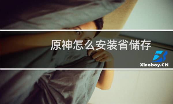 原神怎么安装省储存