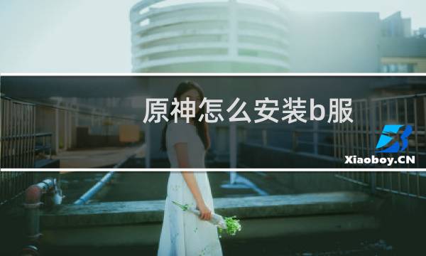 原神怎么安装b服
