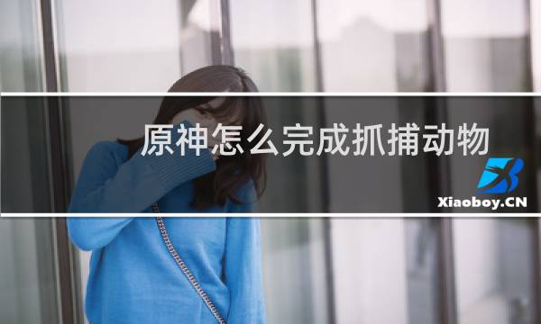 原神怎么完成抓捕动物