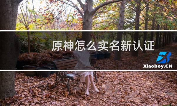 原神怎么实名新认证