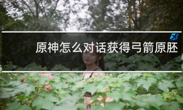 原神怎么对话获得弓箭原胚